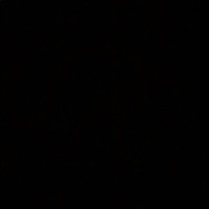 Meet your Posher, Gretta